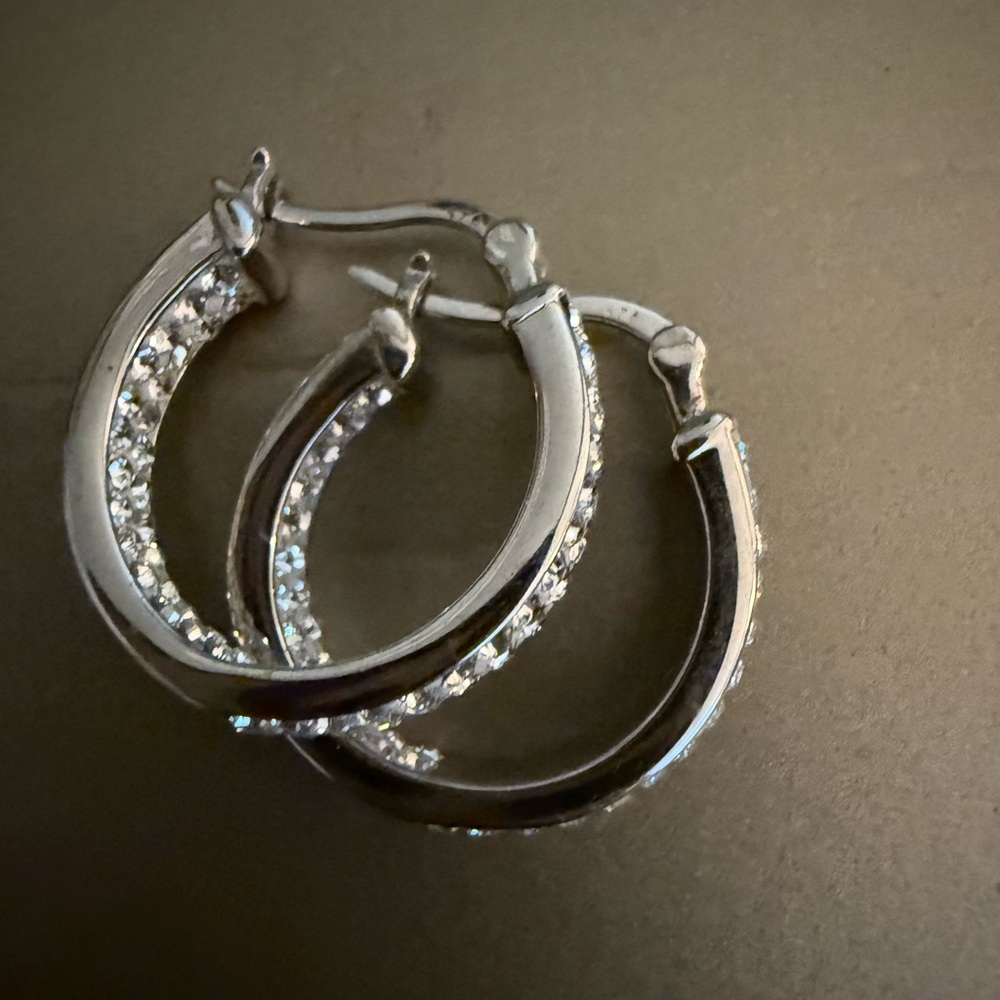 Elegant Silver Hoop Earrings